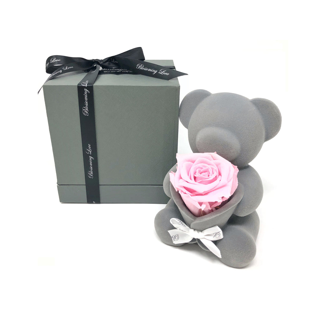 Bear Music Box | Pink Preserved Rose - Blossoming Love
