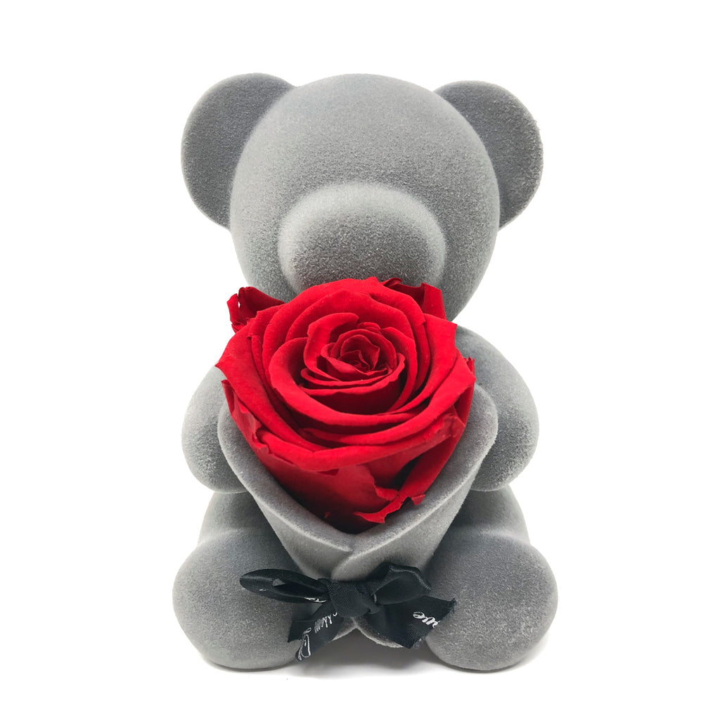 Bear Music Box | Red Preserved Rose - Blossoming Love