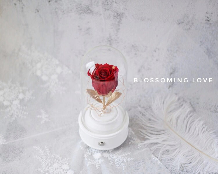 Beauty And The Beast Music Box | Red Preserved Rose - Blossoming Love