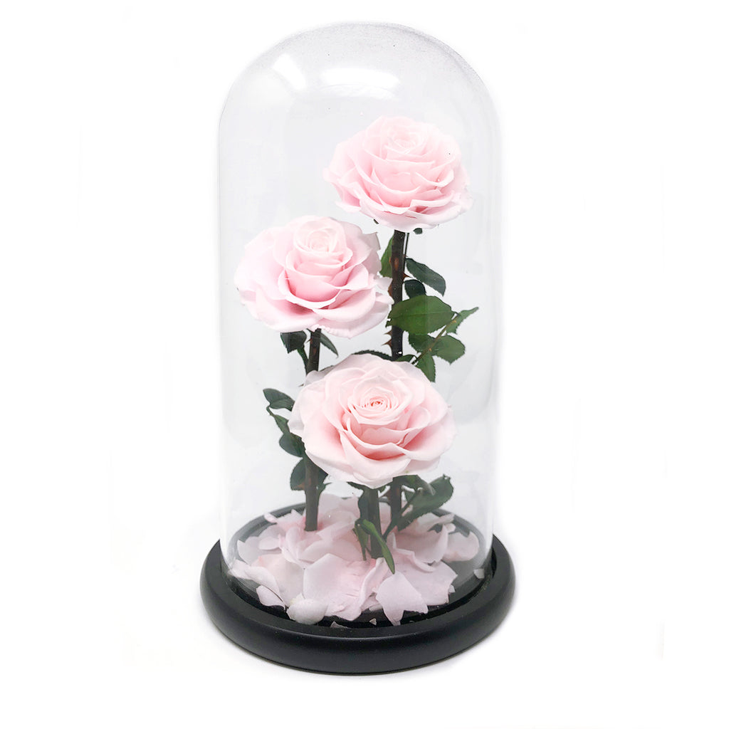 BEAUTY AND THE BEAST GLASS DOME |THREE HEADS | PINK PRESERVED ROSE - Blossoming Love