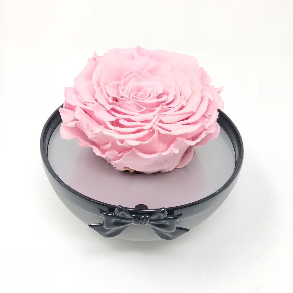 Preserved Rose Crystal Ball | Pink Rose - Blossoming Love