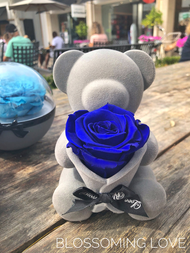 Bear Music Box | Royal Blue Preserved Rose - Blossoming Love