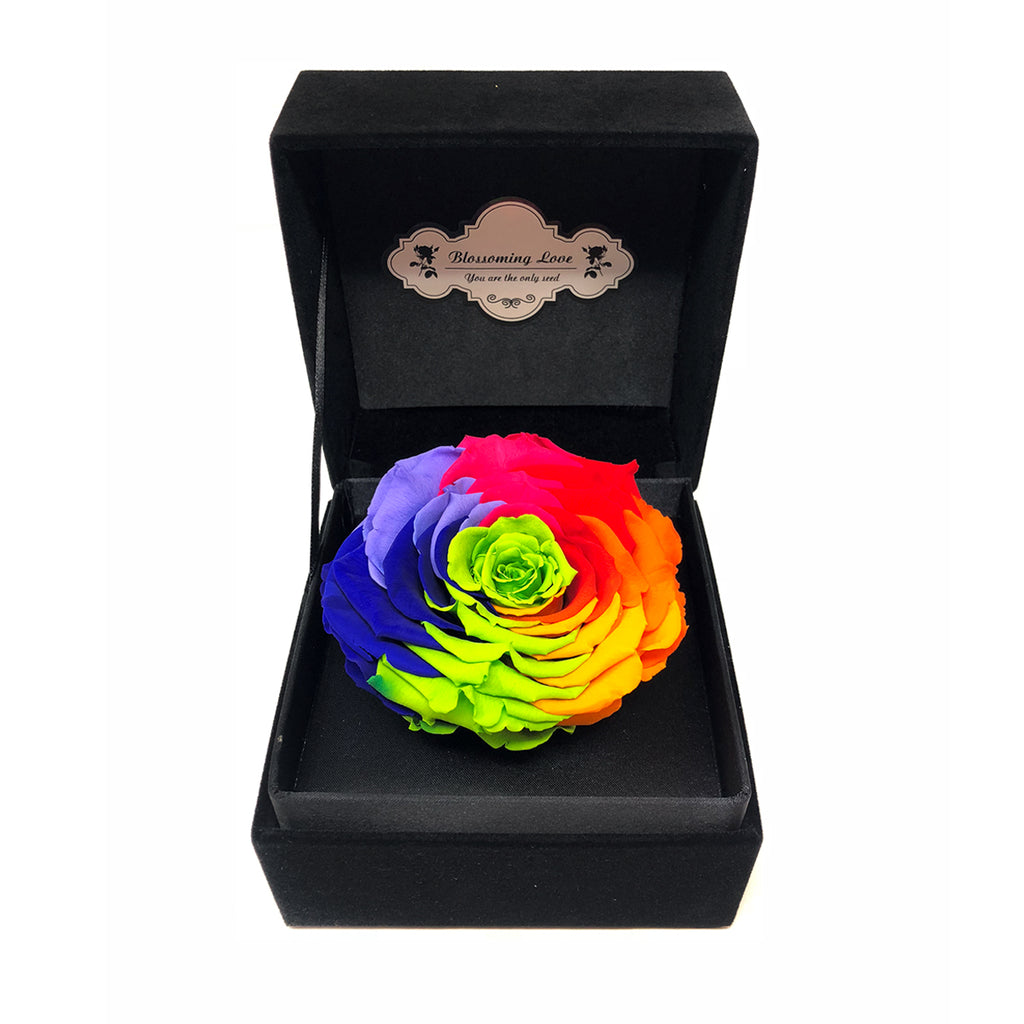 Classic Velvet Box | Rainbow preserved rose - Blossoming Love
