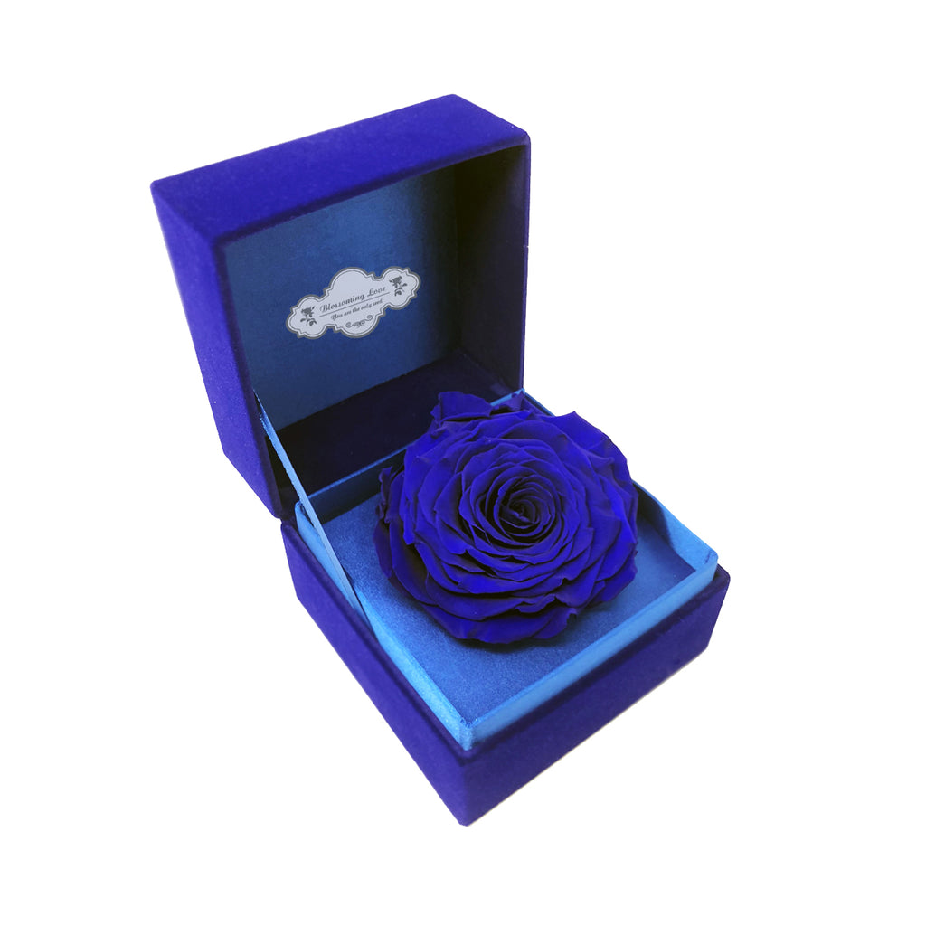 Classic Velvet Box | Royal blue preserved rose - Blossoming Love
