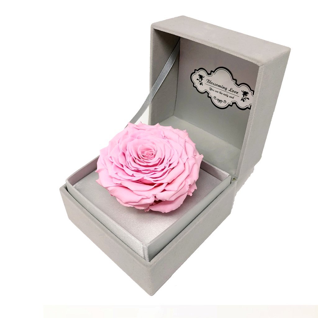 Classic Velvet Box | Pink preserved rose - Blossoming Love