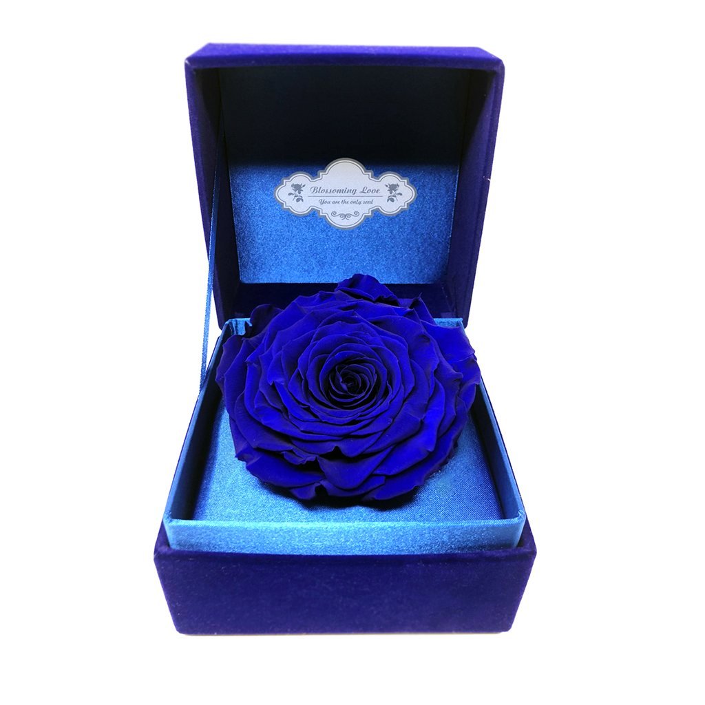 Classic Velvet Box | Royal blue preserved rose - Blossoming Love