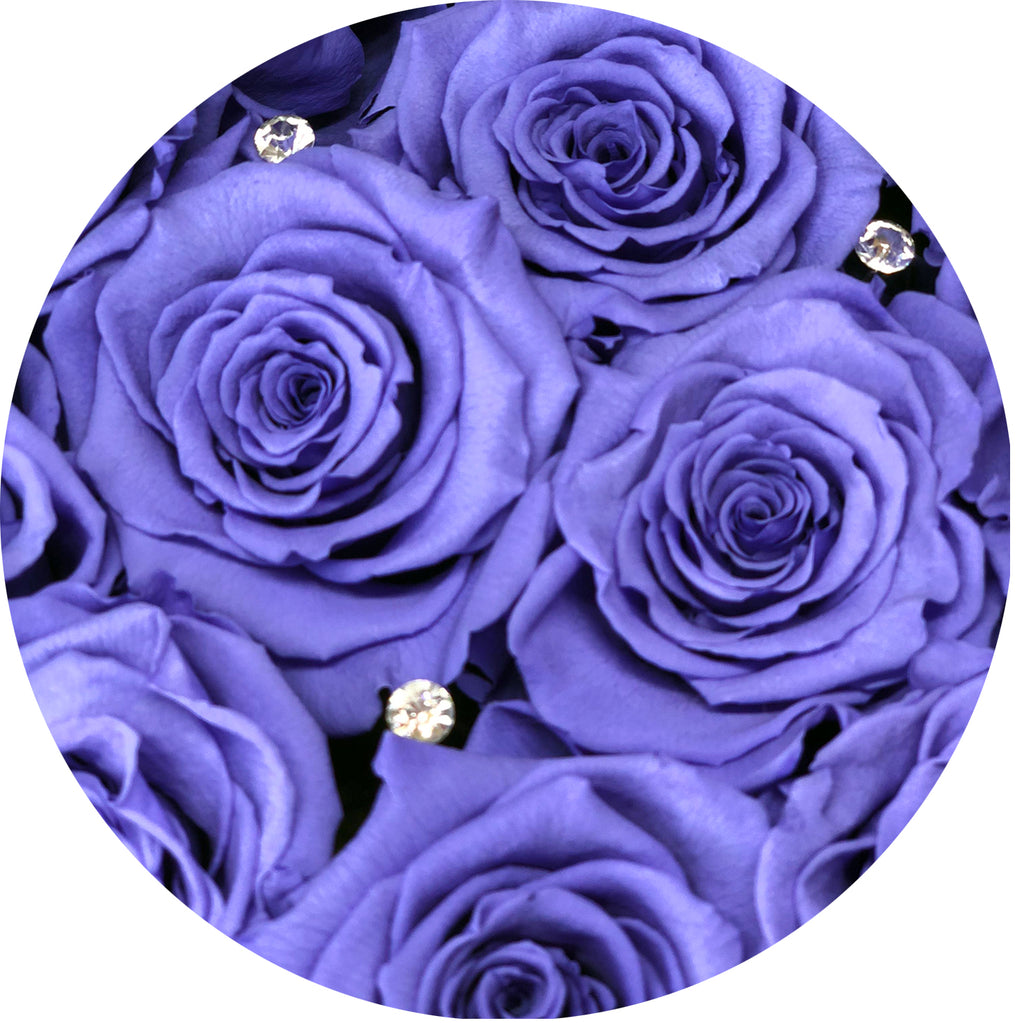 See-through Square box | Purple preserved roses - Blossoming Love