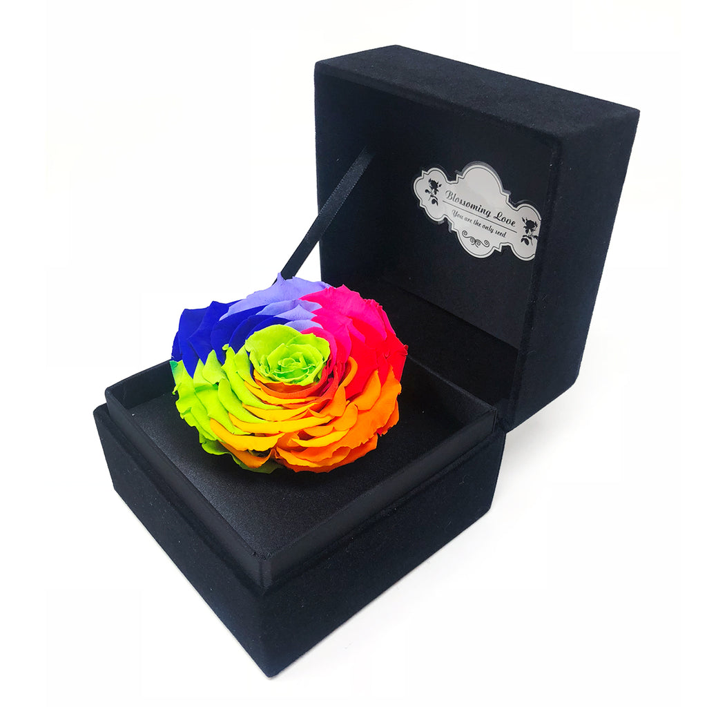 Classic Velvet Box | Rainbow preserved rose - Blossoming Love