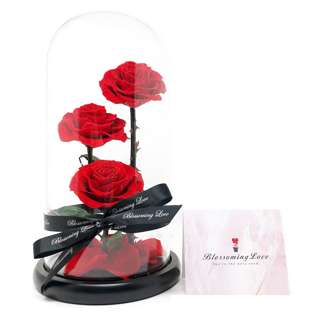 BEAUTY AND THE BEAST GLASS DOME |THREE HEADS | RED PRESERVED ROSE - Blossoming Love