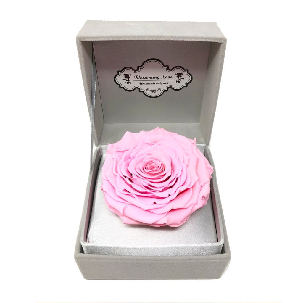 Classic Velvet Box, Pink preserved rose