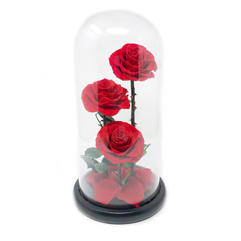 BEAUTY AND THE BEAST GLASS DOME |THREE HEADS | RED PRESERVED ROSE - Blossoming Love