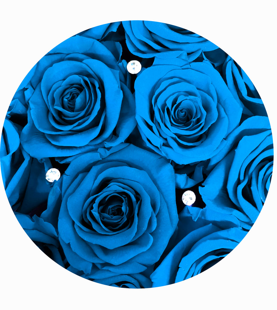 See-through Square box | Light blue preserved roses - Blossoming Love