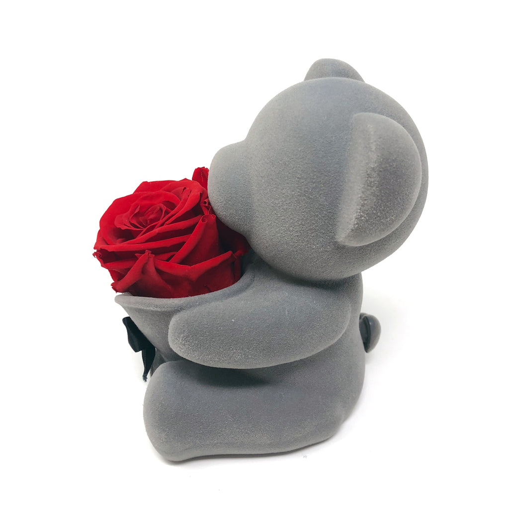 Bear Music Box | Red Preserved Rose - Blossoming Love