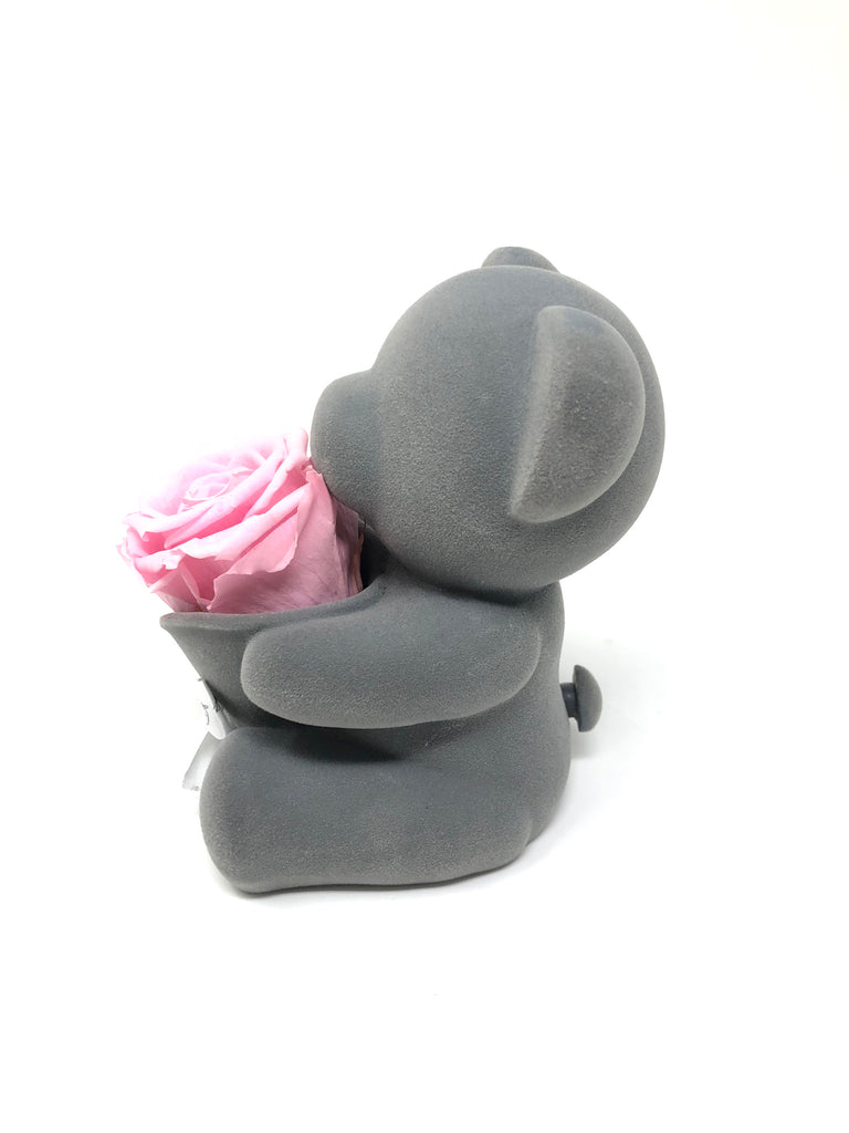 Bear Music Box | Pink Preserved Rose - Blossoming Love