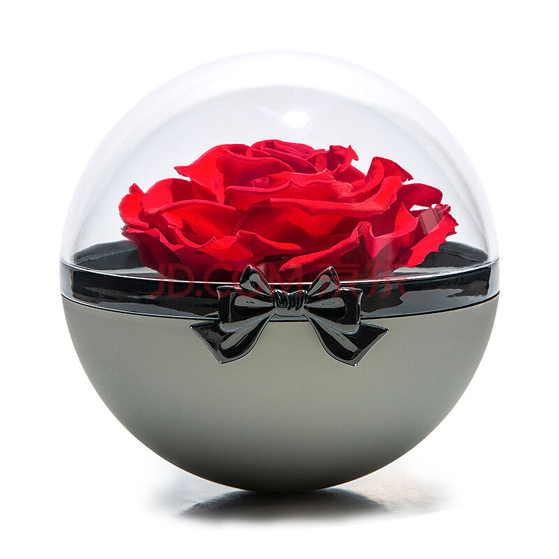 Preserved Rose Crystal Ball | Red Rose - Blossoming Love