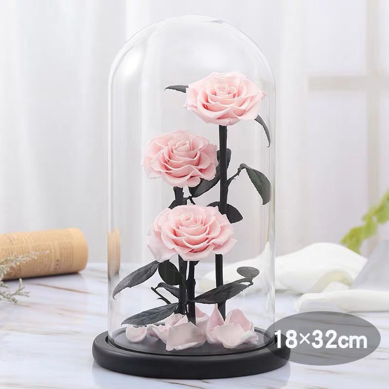 BEAUTY AND THE BEAST GLASS DOME |THREE HEADS | PINK PRESERVED ROSE - Blossoming Love