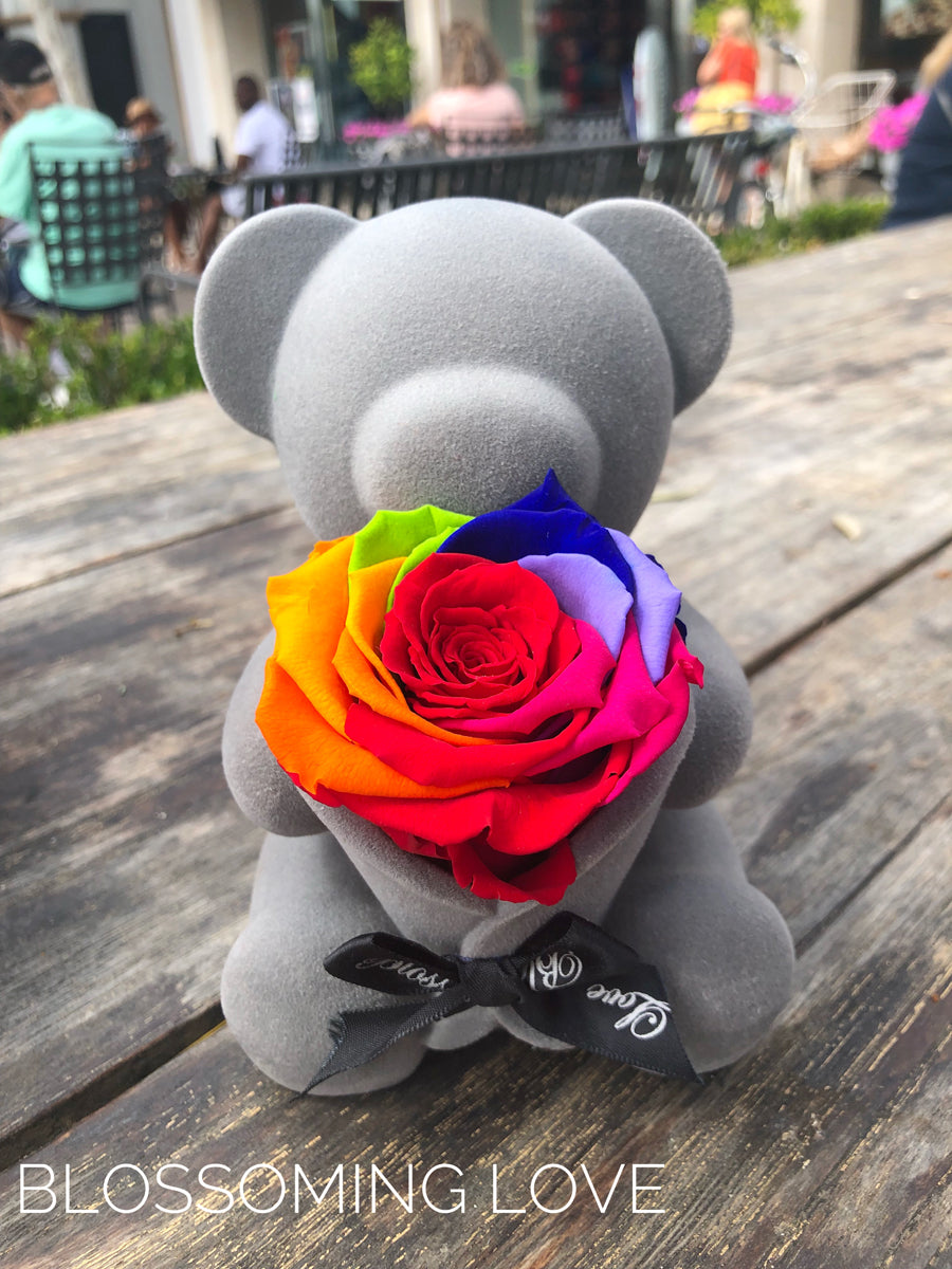 Bear Music Box Rainbow Preserved Rose Blossoming Love Forever Roses Everlasting Roses Forever Flowers Everlasting Flowers Blossoming Love